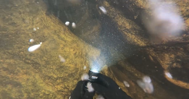 Metal Detecting NY Swimming Hole