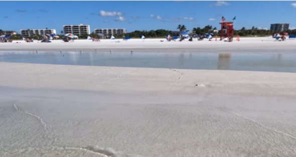 Metal Detecting Siesta Key